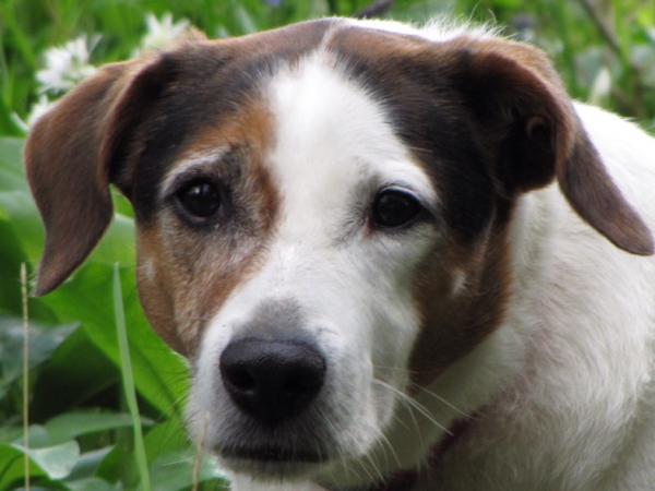 post-6059-0-60241700-1449601406_thumb.jp