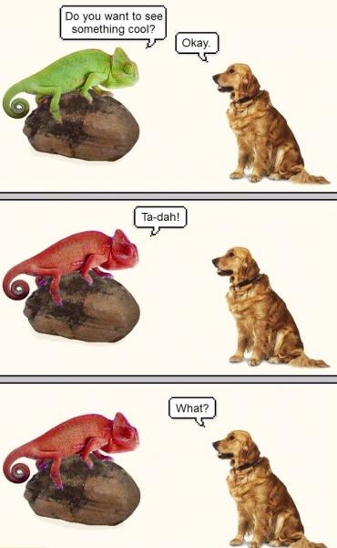 post-6059-0-77308000-1450374214_thumb.jp