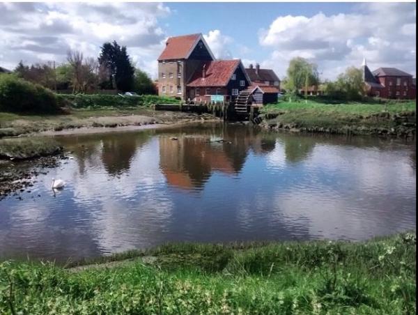 post-6600-0-88893700-1451308218_thumb.jp