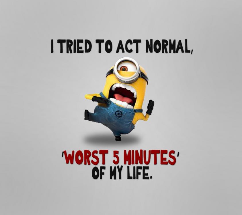 Crazy_Minion-wallpaper-10471990.jpg