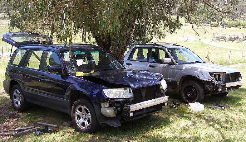 2511linedupready.jpg.3a176cab4f5a26bd62a