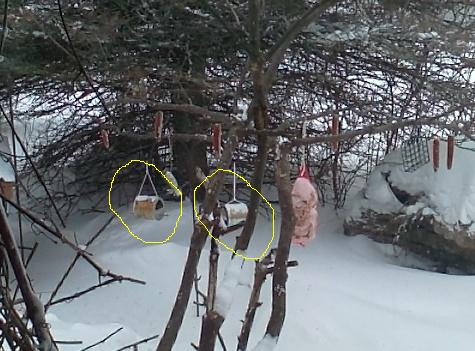 56be889c2b5b3_Recycledcanfeeders.jpg.72b