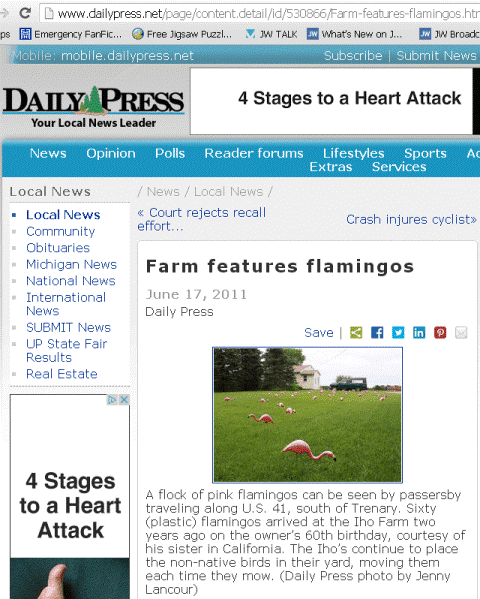 56cb0e69776eb_Ourfamousflamingoslol.jpg.