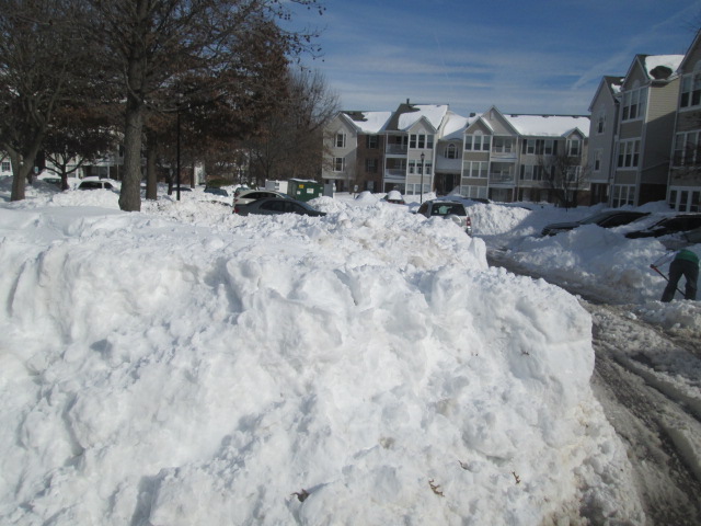 IMG_0006.JPG.047d809e23da27fec8cce4673cd