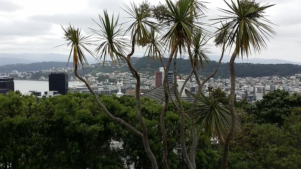 IMG_20160121_155848.thumb.jpg.c87e465285