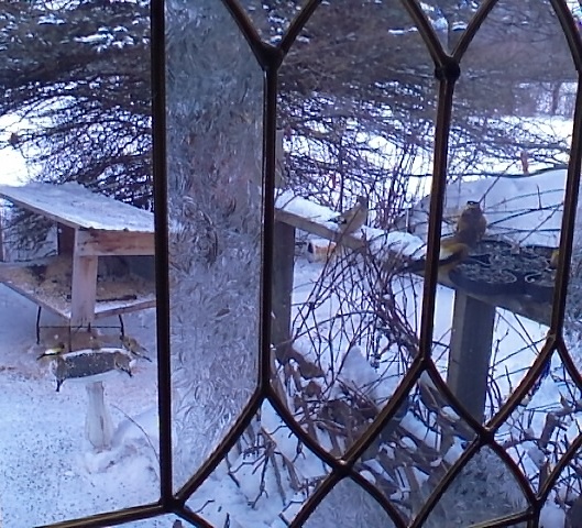 IMG_20160210_090140.jpg.de75d72e521ef137