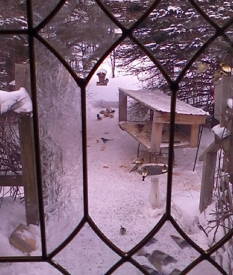 IMG_20160210_090219.jpg.de376ad555c0747a