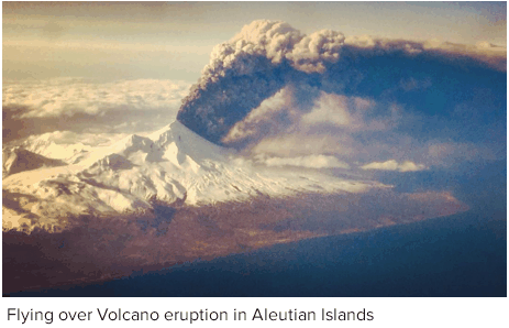 56fa7a3fadd17_Pavloverupts.gif.009b61ab2