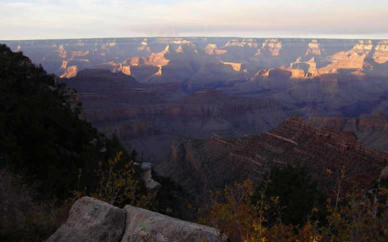 22-1012GC30sunlower.jpg.8a33e434ddae135c