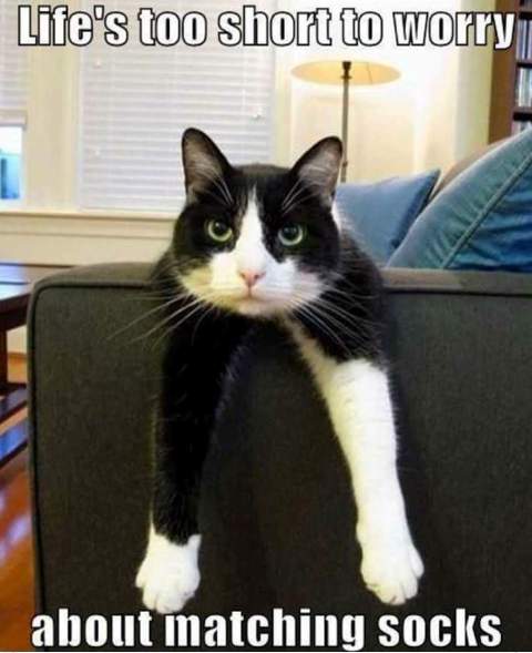 5720e3f4dc4e7_MatchingSocks.jpg.2bdf39c4