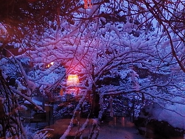 IMG_20160406_202525.jpg.371058deaead6025