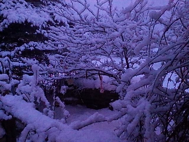 IMG_20160406_202801.jpg.947bd03aa6cc7266