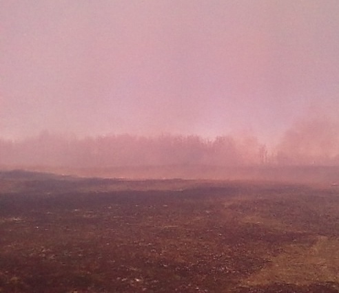 IMG_20160429_153433.jpg.b32a896d3ca35e3b