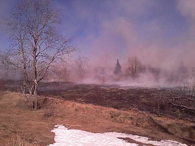 IMG_20160429_170413.jpg.8d346e99d858f989