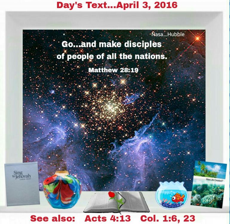 PicsArt_04-01-12.19.40.thumb.jpg.54fdba1