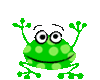 frog21.gif.294dd738383cd810c26914d916d5c