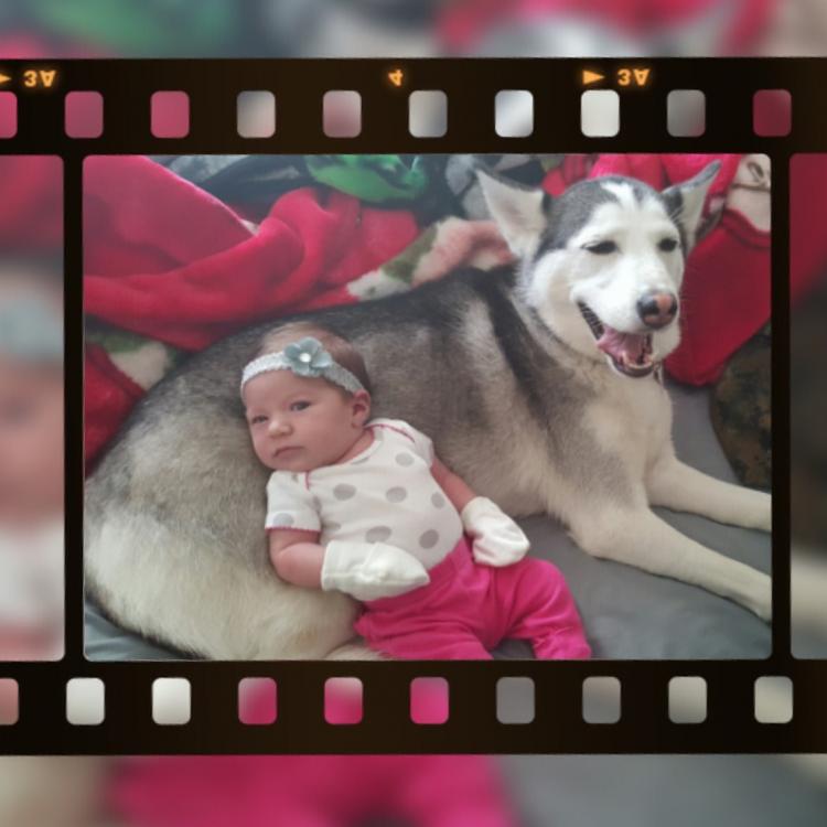 image.thumb.jpeg.3446ec3c67e992b97e85d6f