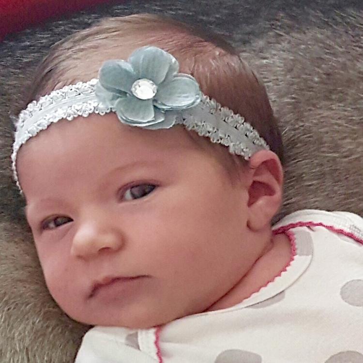 image.thumb.jpeg.b1a0f7d0cba3214bd64b8ec