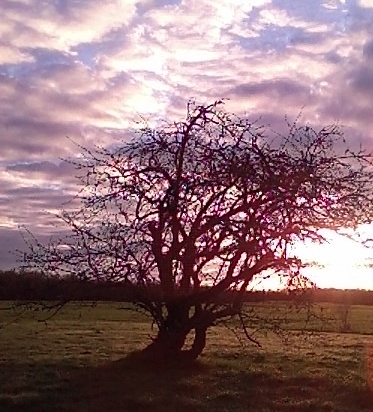 Beauty is in the eye of the beholder.jpg