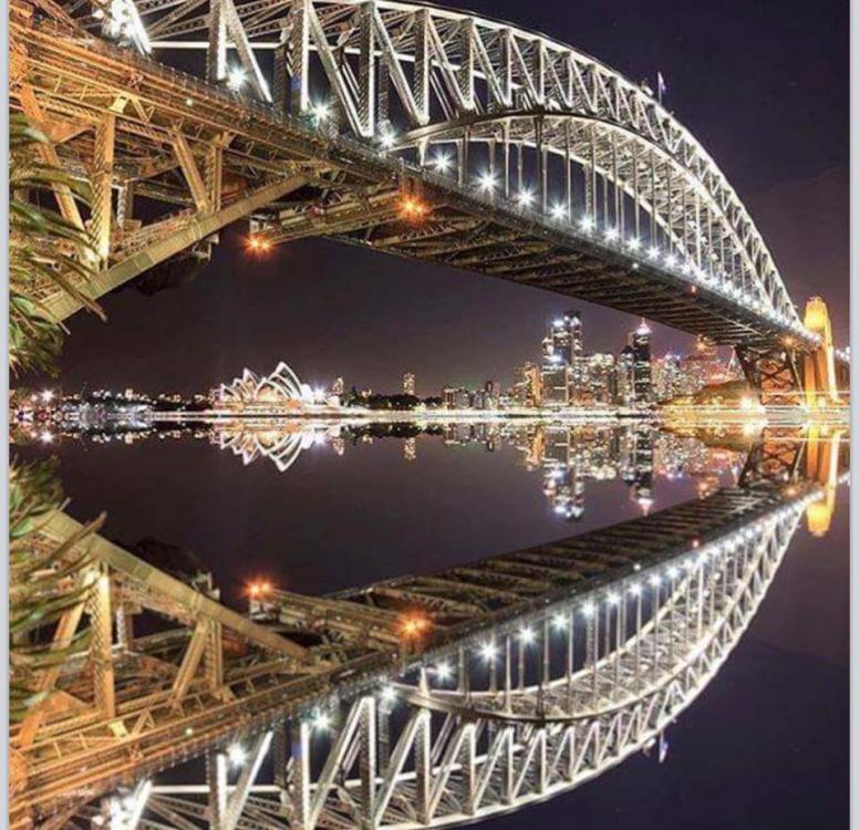 Sydney Harbour at night.jpg