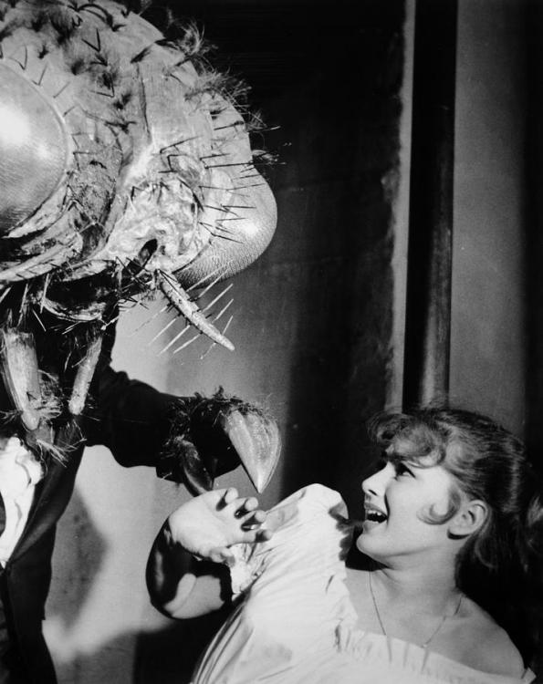 2-film-the-fly-1958-granger.jpg
