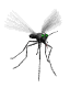 Mosquito 1.gif
