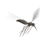Mosquito 2.gif