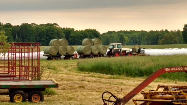 Round bales ready to be wrapped.jpg