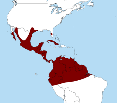 Caracara map.jpg