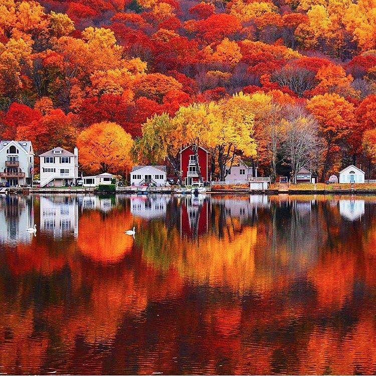 Conecticut Autumn.jpg