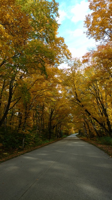 Color Tour One sm.jpg