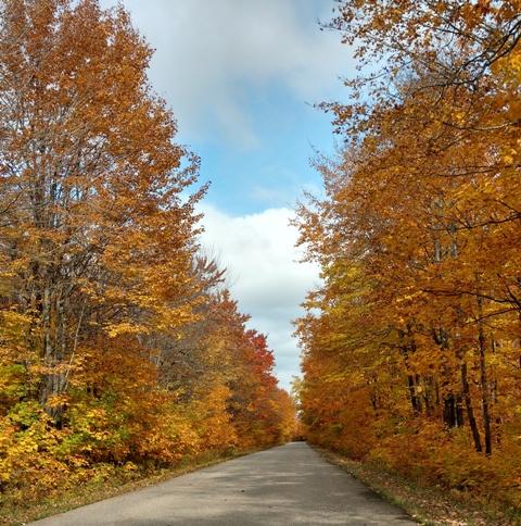 Color Tour twosm.jpg