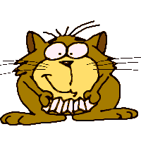 Welcome Cat Scroll.gif