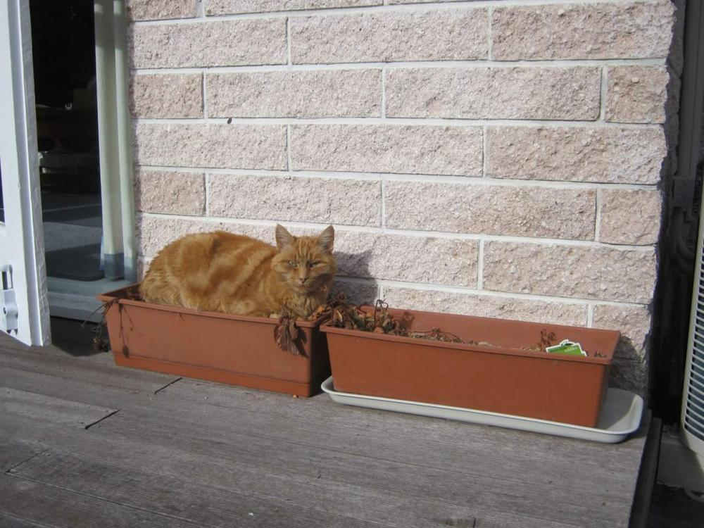 2016-05-12 20.51.06.jpg