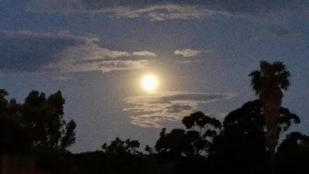 super.moon.jpg