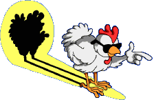 Cool Rockin Chicken.gif