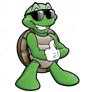 Happy Turtle.JPG