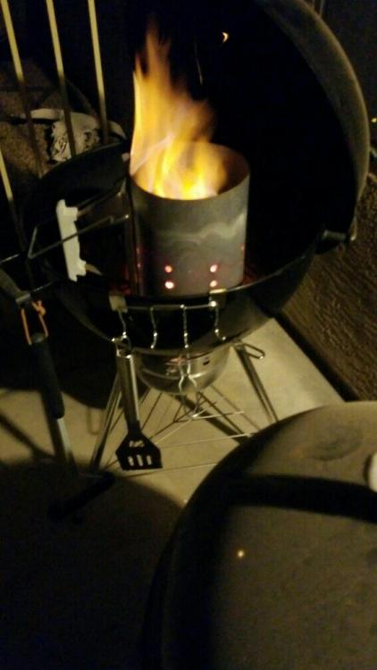 IMG-20161220-WA0002-567x1008.thumb.jpeg.