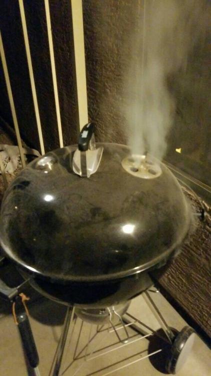 IMG-20161220-WA0008-567x1008.thumb.jpeg.