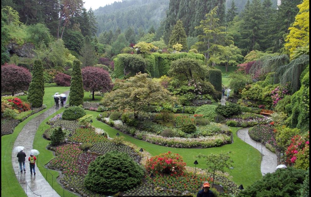 Butchart 2013.JPG