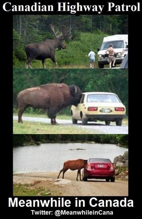 Cdn highway patrol.jpg