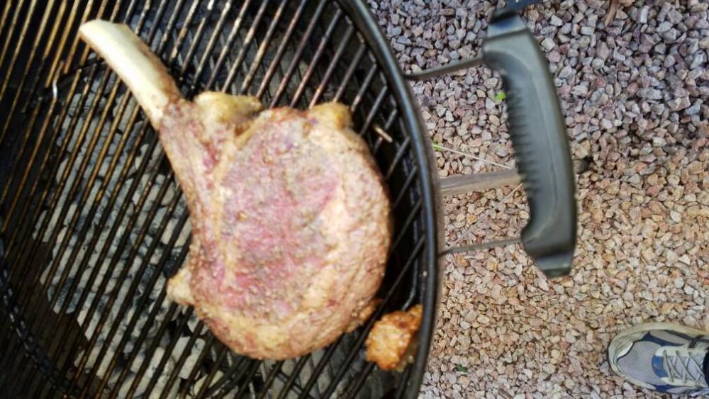 IMG-20170121-WA0019.thumb.jpeg.2df4ec7bf