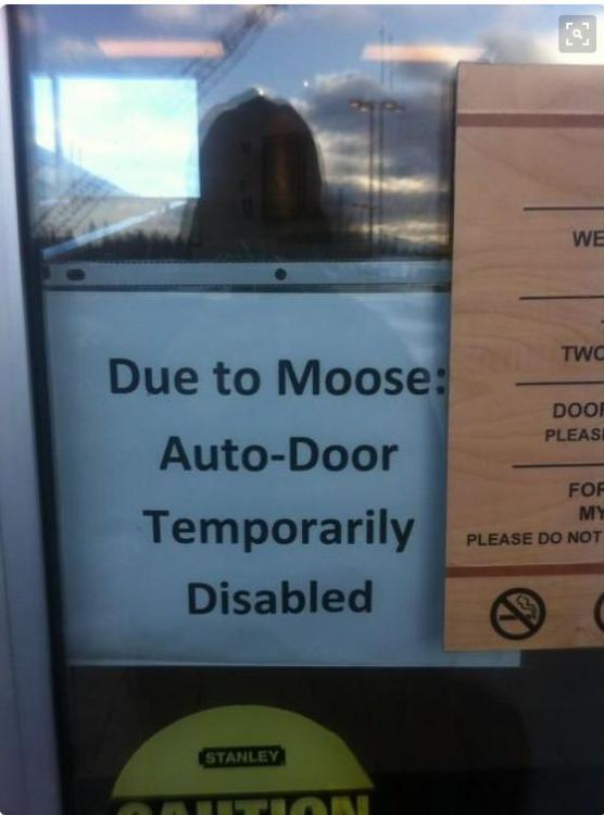 Moosed door.jpg