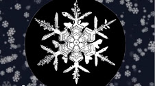 snowflake on black background.jpg