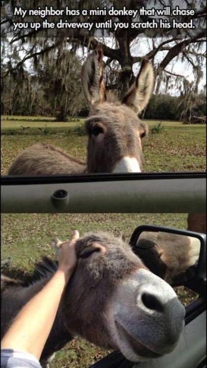 just want a scratch.jpg