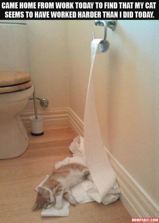 Needed padding for snooze.jpg