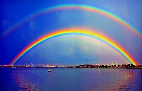 58d8a860a429d_Doublerainbow.jpg.f864cf385ab74856d6e6ba44a530fe30.jpg