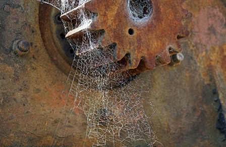 58d8a8cbba6e4_cobwebsandrust.jpg.0ce4b7297eff83258fffefa8b12f6036.jpg