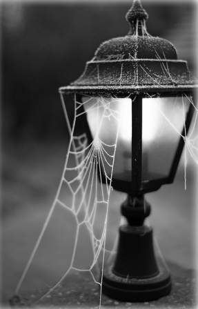 cobwebs.jpg.c280d40899b3c99a0f1342311614e83c.jpg