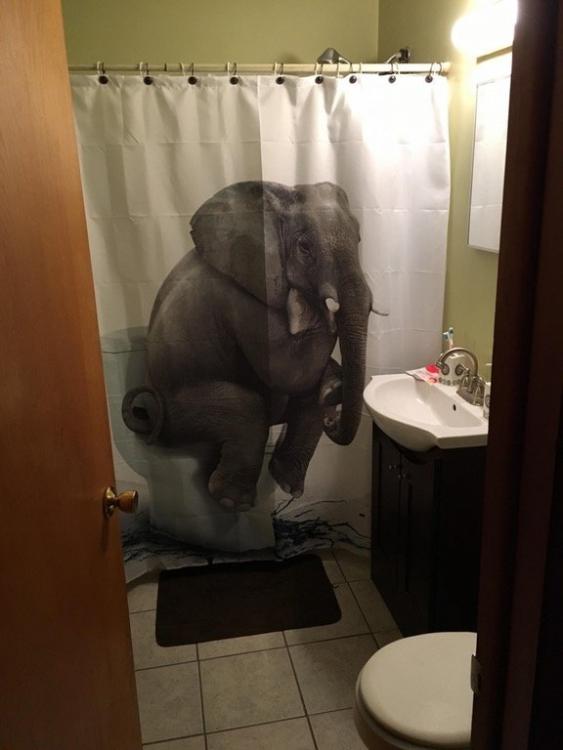 here looking at you.jpg